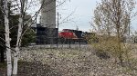 CN 2601